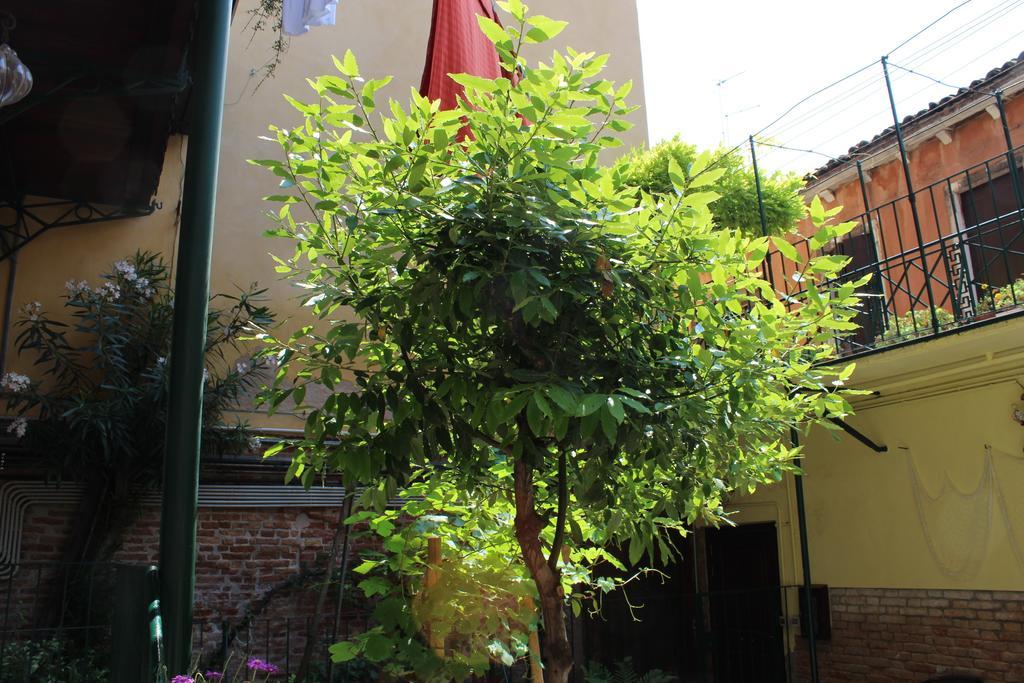 San Giacomo Apartment Veneţia Cameră foto